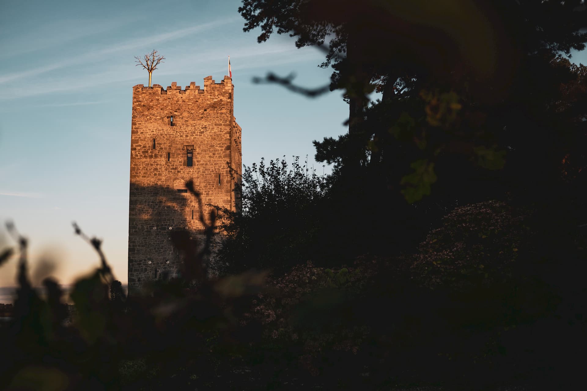 The restored Belvelly Castle framed by trees